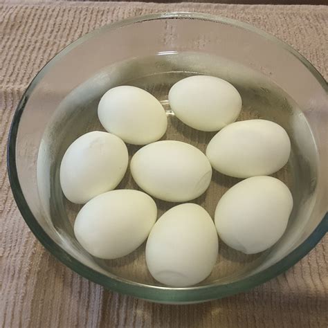 egg ppc company